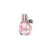 Flowerbomb by Viktor & Rolf